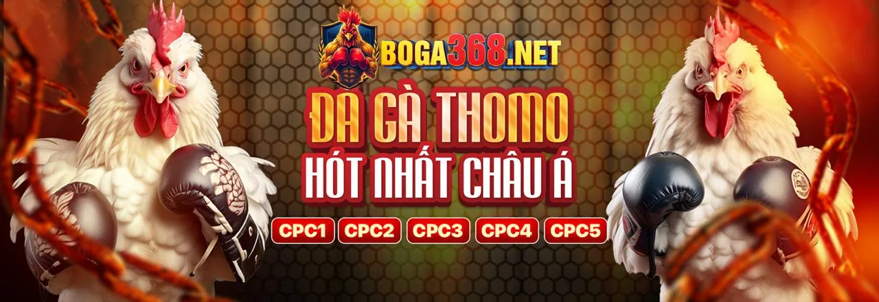 Hướng dẫn cá cược thể thao 98win nhà cái